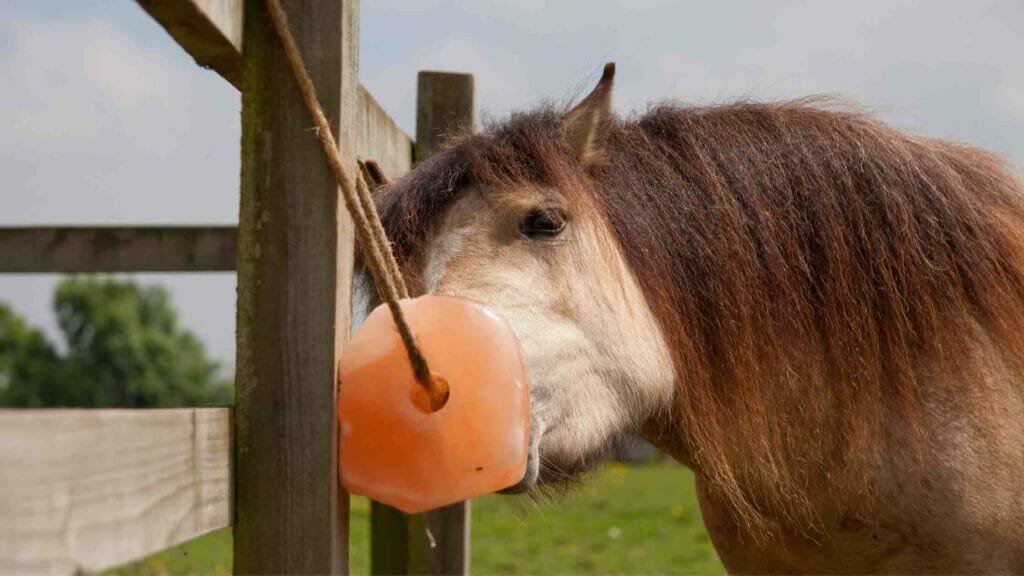 Himalayan Salt Animal Feed