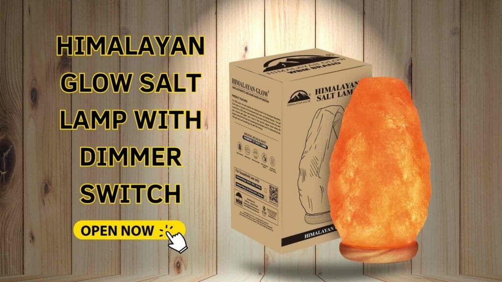 Best Himalayan Salt Lamp