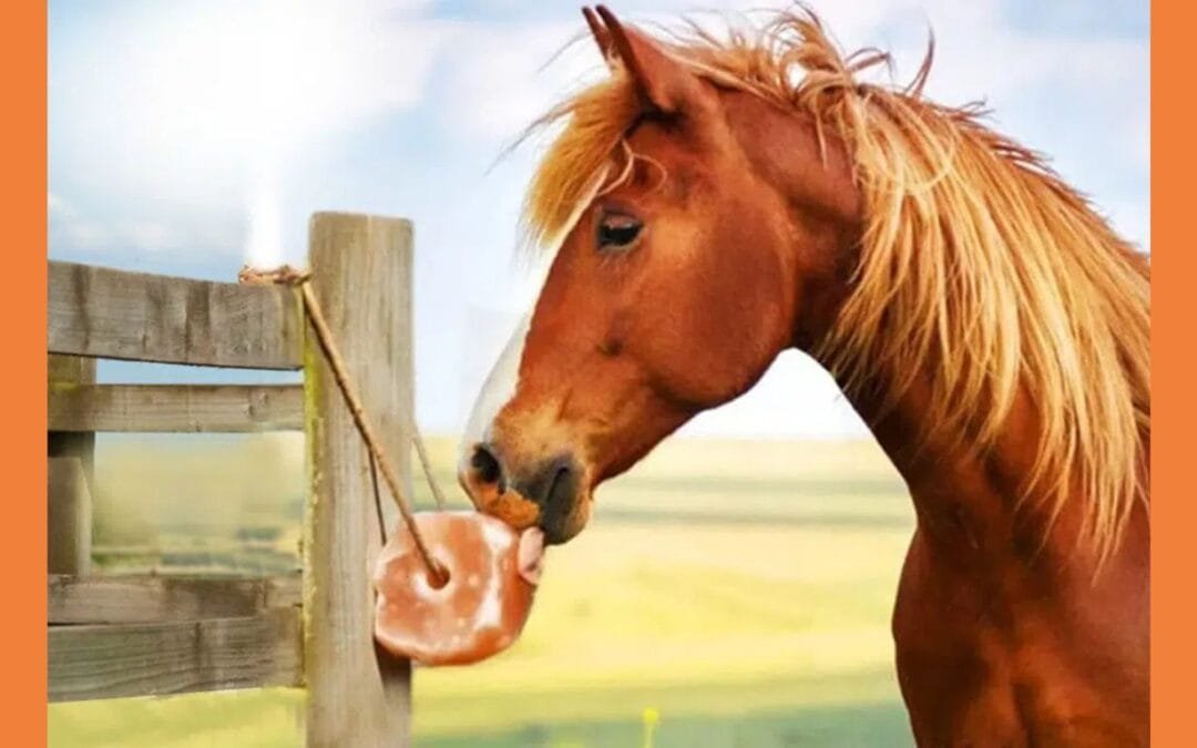 5 Key Benefits of Salt Lick Bricks For Animal Use